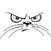 angry cat