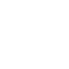 vegan gift