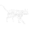 cat 6
