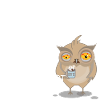 koffeiniert Tierarzt