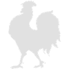coq_seul_white