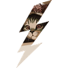 chat foudre