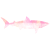 Shark Attack