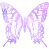 Aquarelle Papillon