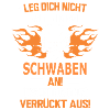 SCHWABE