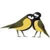 Kohlmeisen