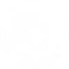 Wave white