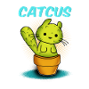 Chat / CATCUS / Cactus / Cadeau