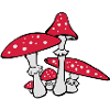 Mushroom