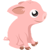 porcin