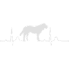 ST. BERNARD heartbeat heartbeat