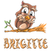 Eule Brigitte