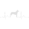 COLLIE Smooth heartbeat Herzschlag