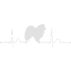 GERMAN SPITZ heartbeat heartbeat