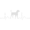DOGO CANARIO heartbeat Rythme cardiaque