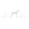 ENGLISH POINTER heartbeat Herzschlag