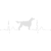 GORDON SETTER heartbeat Herzschlag