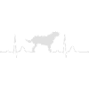 GRIFFON NIVERNAIS heartbeat heartbeat
