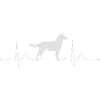 KLEINER MÜNSTERLÄNDER heartbeat Herzschlag