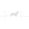 LONG-HAIRED DACHSHUND heartbeat heartbeat