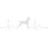 PATTERDALE TERRIER heartbeat Herzschlag