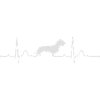 RAUHAARDACKEL heartbeat Herzschlag