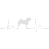 SHAR PEI heartbeat Rythme cardiaque