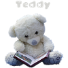 Teddy