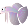 fish fish animal animals1415