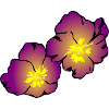 fleurs fleurs printemps jardin jardin