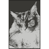 Maine Coon Relax