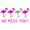 We Miss You Flamingos funny