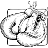Boxhandschuhe Boxen Kampfsport