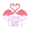 Flamingo Love Summer
