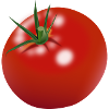 Red tomato
