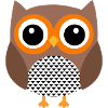 owl owlet owlle animal animals