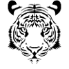Tiger head black white