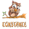 Hibou Constance