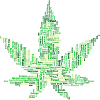 Marijuana grass hemp THC cannabis