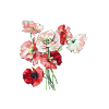 Bunch of flowers
