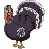 turkey turkey turkeycock gobbler