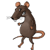 rate cheese kaese animal animaux