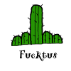 Cactus Gift Birthday