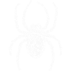 Skull spider in white