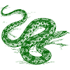 Serpent vert