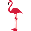 flamingo