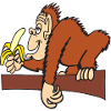 AFFE MIT BANANE!