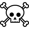Skull Jolly Roger!
