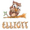 Owl Elliott
