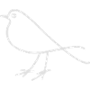bird